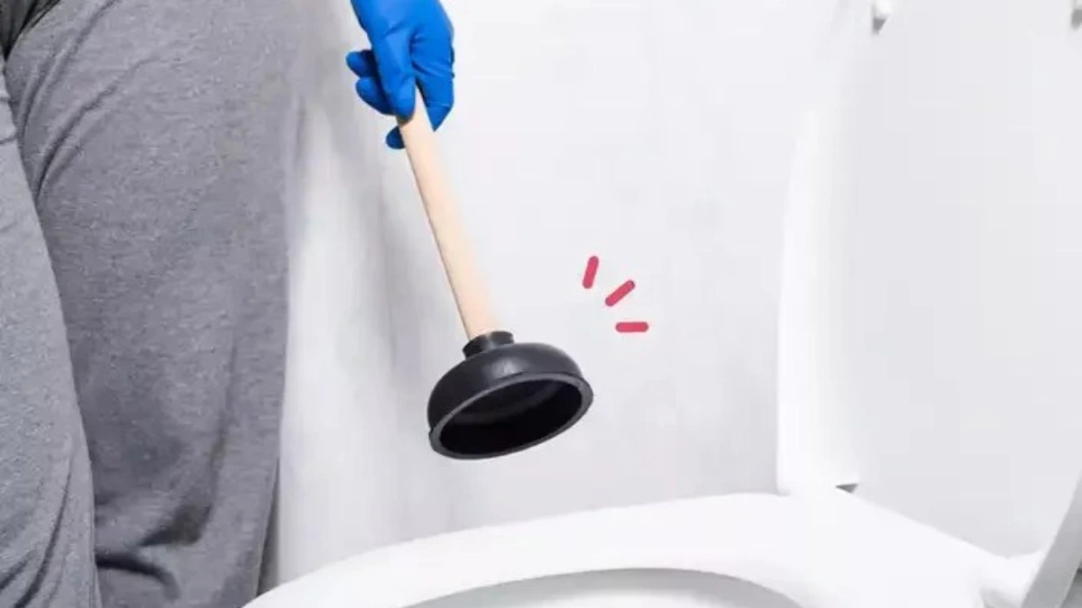mengatasi wc mampet